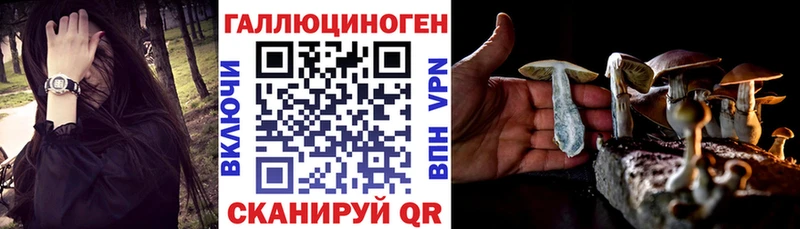 магазин  наркотиков  Белый  Галлюциногенные грибы мицелий 